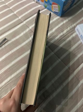 The Girl on the Train