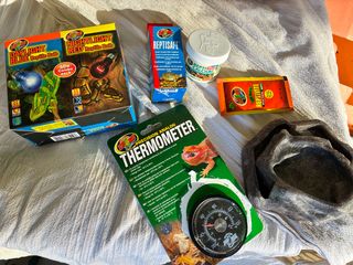 Terrario para reptiles con accesorios