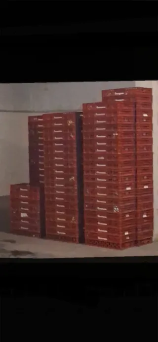 Cajas de plástico para alimentos