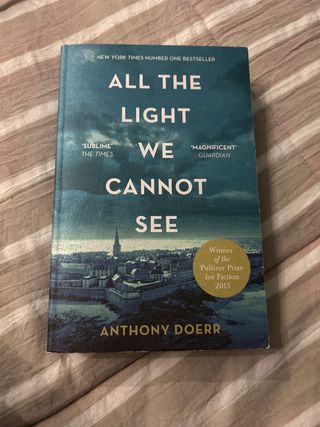 All the light we cannot see