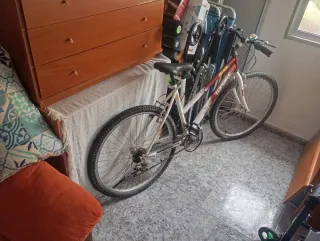 Precio negociable Bicicleta TOPBIKE 50