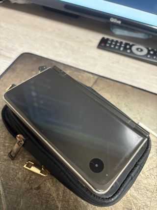 Nintendo DSi XL Bronce + 4 Giochi