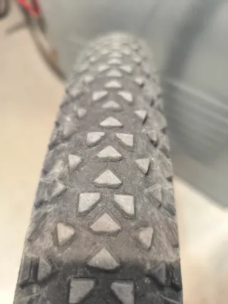 Rueda MTB Continental Race King 29x2.2