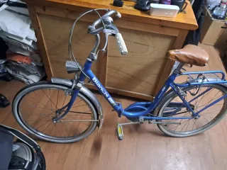 Bicicleta Bianchi Madame Antigua