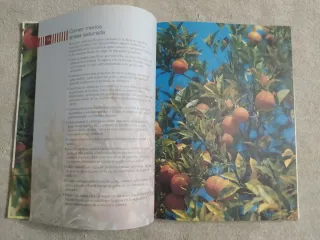 la dieta baja en calorías (Spanish Edition)