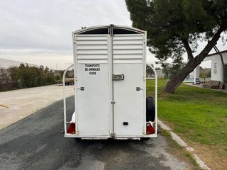 Remolque Van Caballos Matrícula Blanca