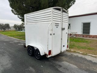 Remolque Van Caballos Matrícula Blanca