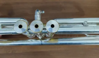 Tromba Stomvi Junior