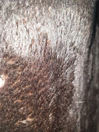 Abrigo largo de pieles negro