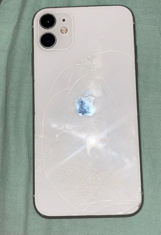 iPhone 11 Multicolor