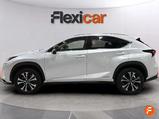 Lexus NX 2.5 300h Business 2WD