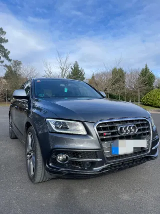 Audi SQ5 2015