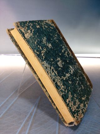 Conferencias, Sermones y Homilías. R. P. J. Ventura de Raúlica. 1863.