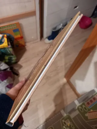 Los niños de la resistencia 1. Primeras acciones