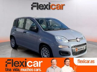 Fiat Panda Panda Hybrid 1.0 Gse 51kw (70CV)