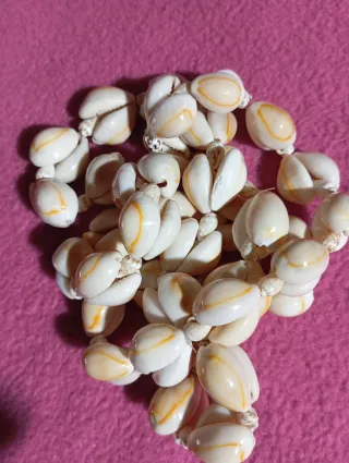 Collar de conchas vintage