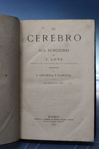 Libro de medicina s.XIX. El cerebro y sus funciones. J. Luys. 1878.