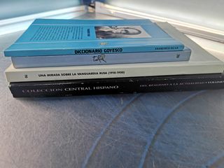 4 libros de arte: una mirada sobre la vanguardia Rusa,Turia, Diccionario Goyesco y mas
