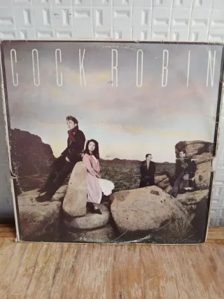 Vários Álbuns em Vynil.