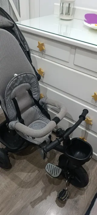 Triciclo evolutivo gris