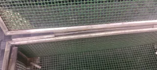 CAJITA METALICA ANTIGUA