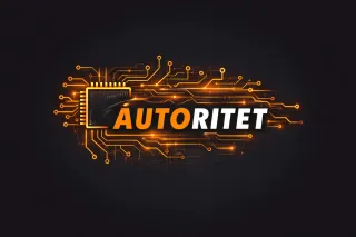 Servicio profesional de reprogramación.