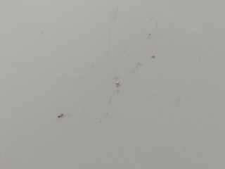 PUERTA DELANTERA DERECHA SSANGYONG KORANDO 671950