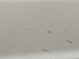 PUERTA DELANTERA DERECHA SSANGYONG KORANDO 671950