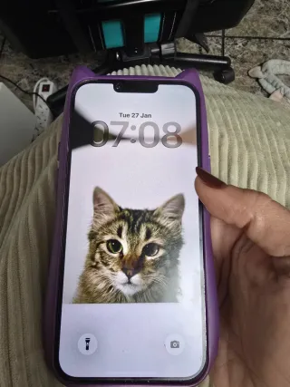 iPhone 14 Plus Viola