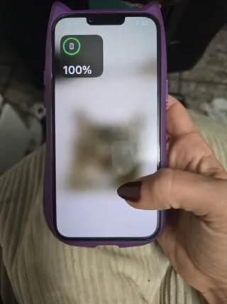 iPhone 14 Plus Viola