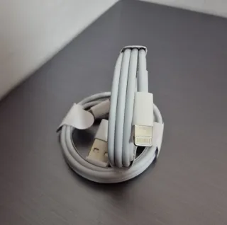 Caricabatterie iPhone originali