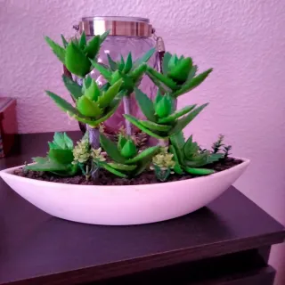 Decoración plantas suculentas artificiales