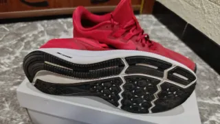 Nike Downshifter 7 Rojo