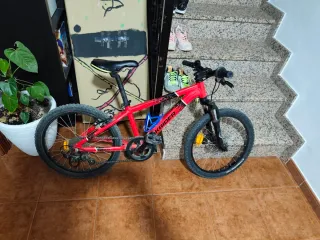 Bicicleta montaña niño 20