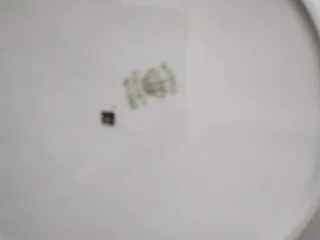 Platos de porcelana antiguos con borde dorado