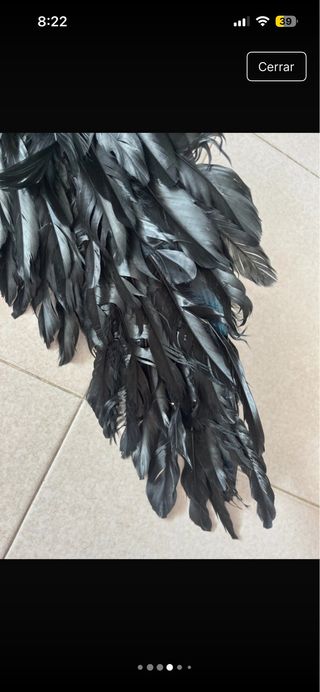 Alas negras disfraz