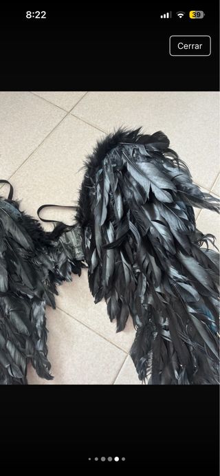 Alas negras disfraz
