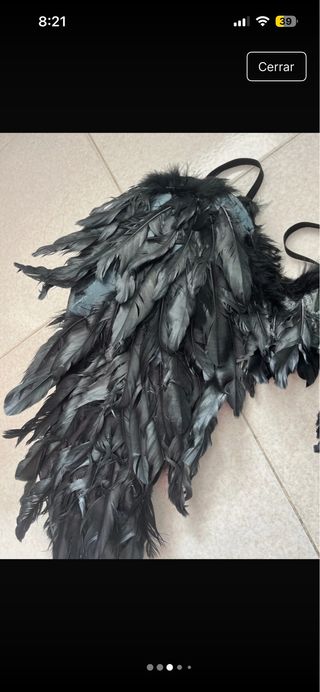 Alas negras disfraz