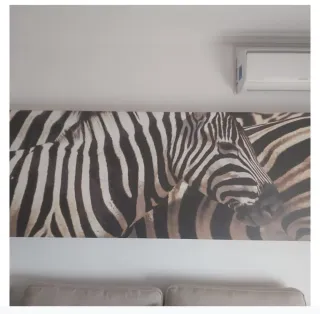 Cuadro de cebras decorativo