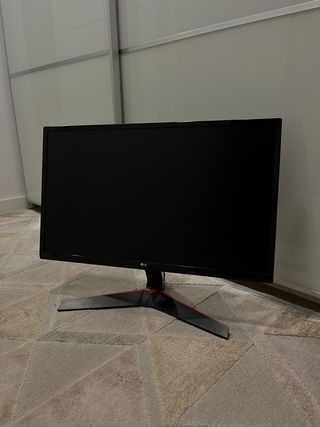 Pantalla PC LG 24 Negro gaming