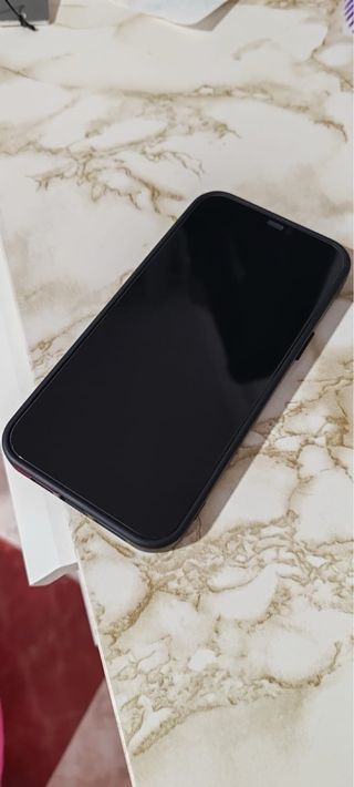 iPhone 12 Pro Max 256GB