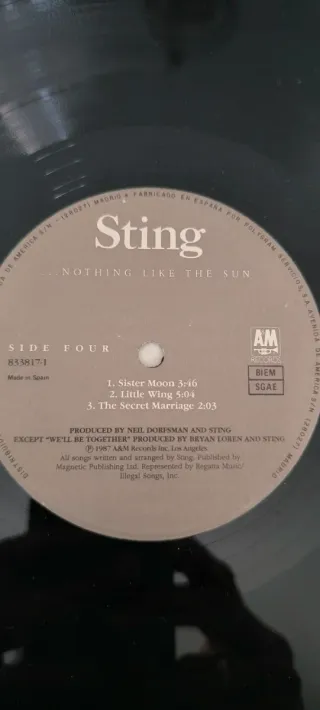 Vinilo Sting Nothing Like The Sun