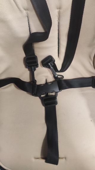 Carro Bugaboo cameleon