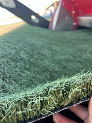 Vendita di erba artificiale