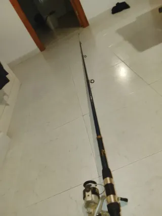 Caña de pescar con carrete