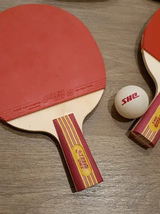 Juego de Ping Pong con funda