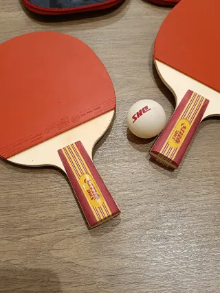 Juego de Ping Pong con funda