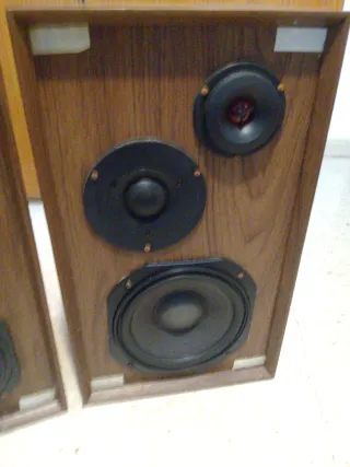 Pareja Altavoces Akai