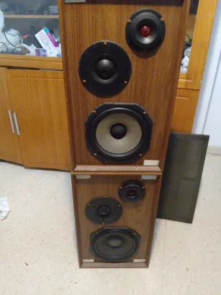 Pareja Altavoces Akai