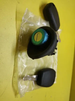 BOMBIN PUERTA MALETERO DACIA LOGAN RENAULT TWINGO